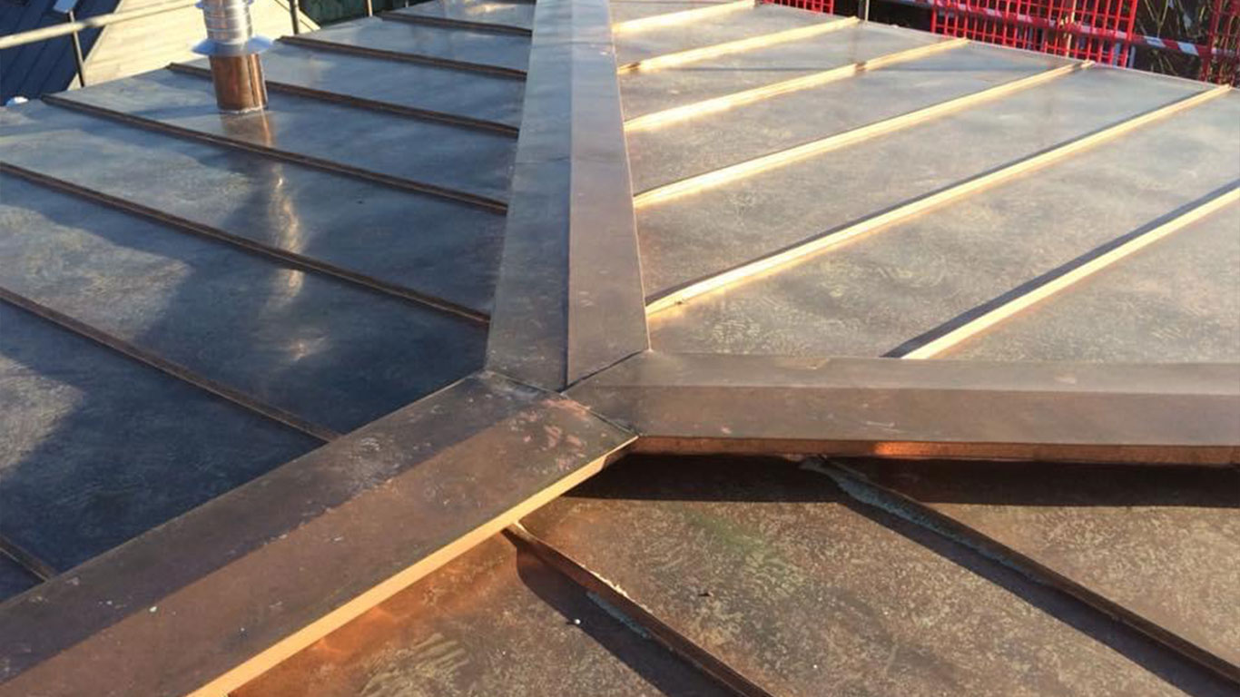 South House Project - Roof