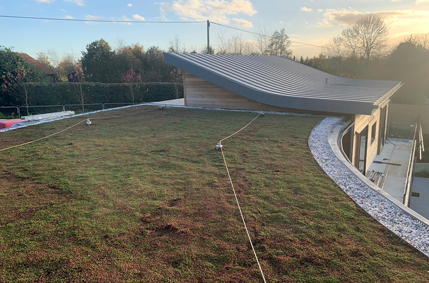 Green Roofs, Green Roofing Specialists. Sudbury, Suffolk - ELC