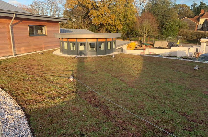 Green Roofs, Green Roofing Specialists. Sudbury, Suffolk - ELC